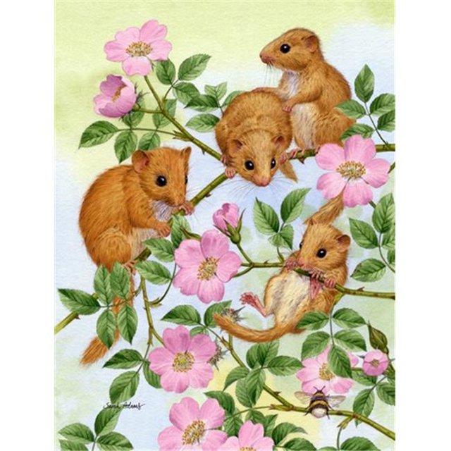 Carolines Treasures ASA2136CHF Dormice Dormouse Flag Canvas House Size