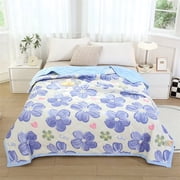 HLONK Clearance Cooling Comforter Queen Size  Double-Sided Cool Tech Comforter  Soft Cooling Comforter for Hot Sleepers Breathable & Lightweight Comforter Queen Duvet Insert