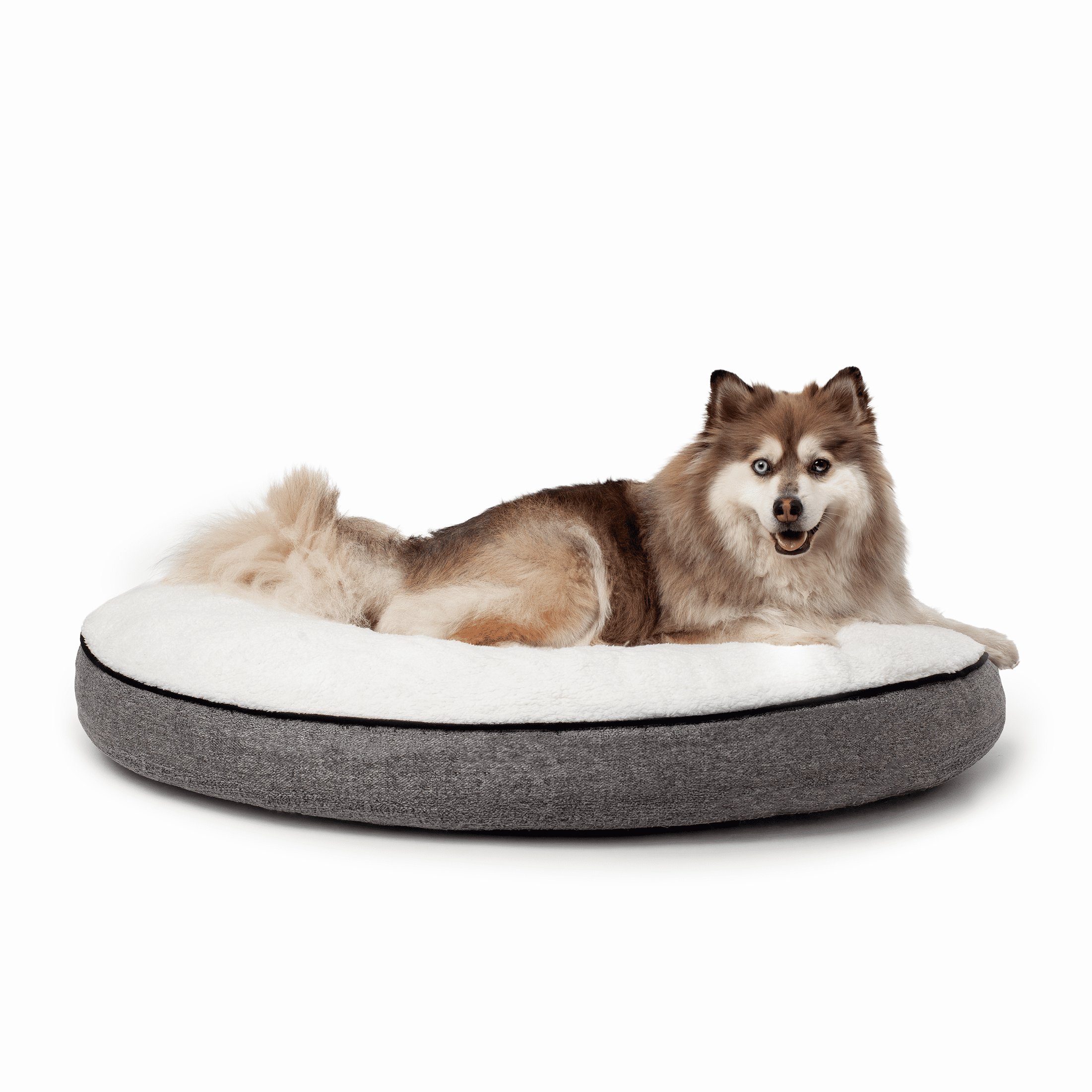 One Paw, lit pour chien extra-large Charlie, mousse à mémoire de forme