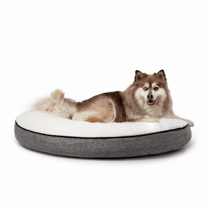 One Paw, Charlie Lit de chien extra grand, mousse mémoire