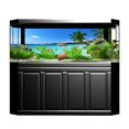 thumbnail image 3 of Esquirla Escargots Stone Sandbeach Turtle Aquarium Background Poster Sticker Sandbeach Sandbeach 61x30cm, 3 of 8