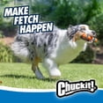 thumbnail image 4 of Chuckit! Ultra Fetch Stick Durable Rubber Dog Toy, 4 of 10