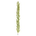 thumbnail image 1 of Vickerman L180813 6 Pi. Lime Glitter Outdoor Berry Garland, 1 of 1