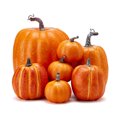 thumbnail image 1 of 7Pcs Simulation Artificial Pumpkins Halloween Decoration Harvest Fall Thanksgiving Home Decor, 1 of 9