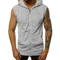 thumbnail image 1 of Men's Solid Color Sleeveless Zip-Up Hooded With Pockets Sleeveless Top(Gray,L), 1 of 6