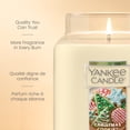 thumbnail image 4 of Yankee Candle Scented Candle, Christmas Cookie, 22 oz Original Large Jar, 4 of 7