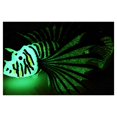 thumbnail image 4 of Fake Fish,Aquarium Silicone Fish Tank Aquarium Fake Fish Aquarium Simulation Fish Cutting-Edge Features, 4 of 5