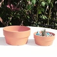 thumbnail image 3 of Imitation Pot For Succulent Planter With Hole Cactus Containers Indoor Garden Bonsai Pots- Product Category Flower Pots 2, 3 of 3