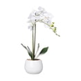 thumbnail image 1 of Anko Artificial Orchid in White Pot, 1 of 6