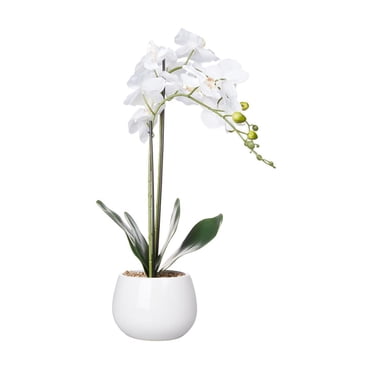 Anko Artificial Orchid in White Pot
