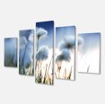 thumbnail image 1 of Designart - Beautiful Polar White Flowers - Floral Canvas Art Print, 1 of 3