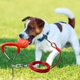 thumbnail image 1 of Heavy Duty Metal Ground Stake Tie Out Kit for Outdoor Dog Training and Secure Pet Tethering, 1 of 5
