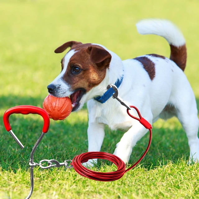 Heavy Duty Metal Ground Stake Tie Out Kit for Outdoor Dog Training and Secure Pet Tethering