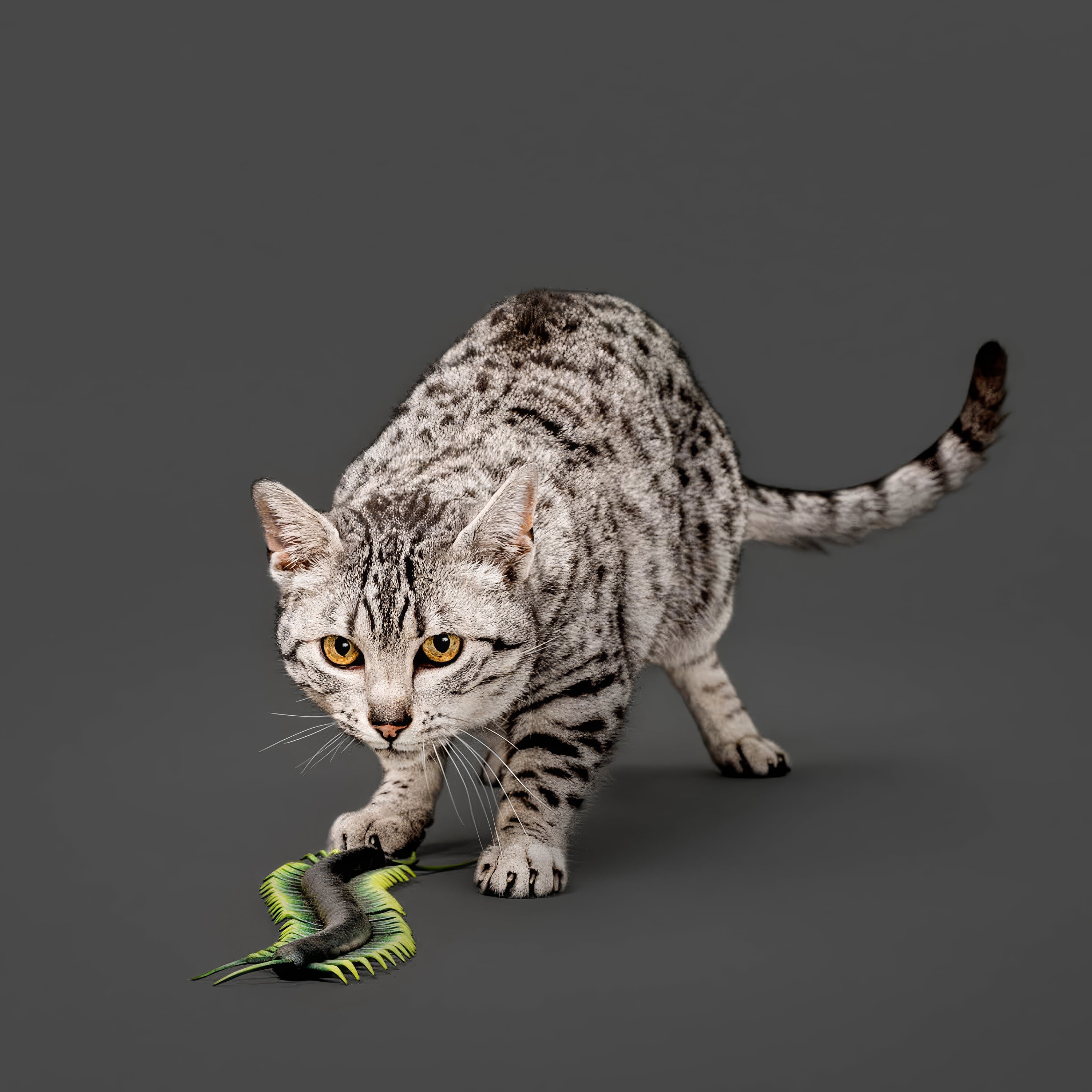 Playology mille-pattes jouet pour chat