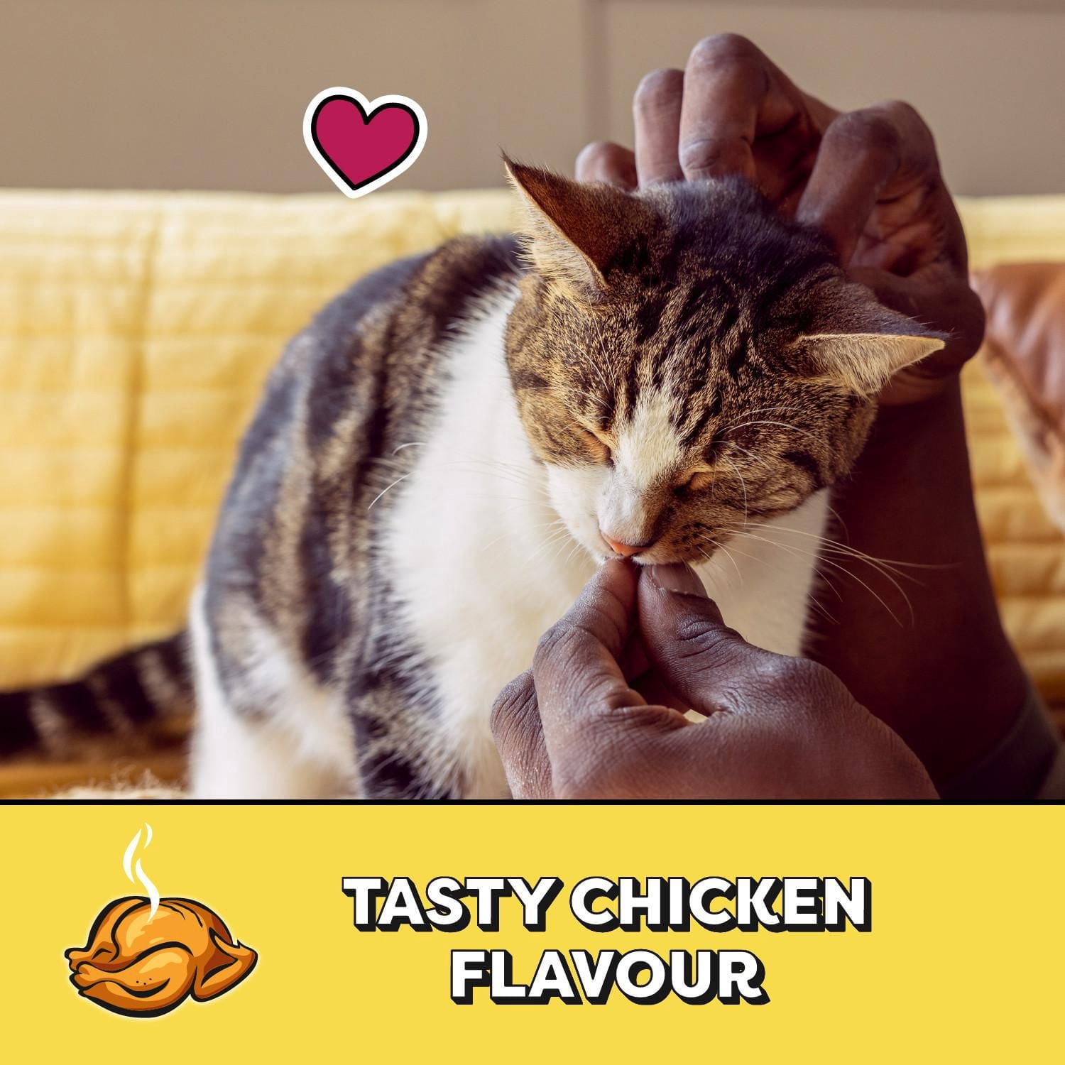 Gâteries pour chats TEMPTATIONS saveur de poulet savoureux, contenant de 850 g