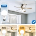 thumbnail image 4 of SHINESTAR A19 LED Light Bulb 60W Equivalent 5000K Daylight White E26 Base 6-Pack, 4 of 8