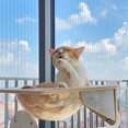 thumbnail image 3 of <p>Wall Mounted Cat Climbing Shelf Window Cat Scratcher Glass Wall Cat Climbing Shelf</p>, 3 of 6