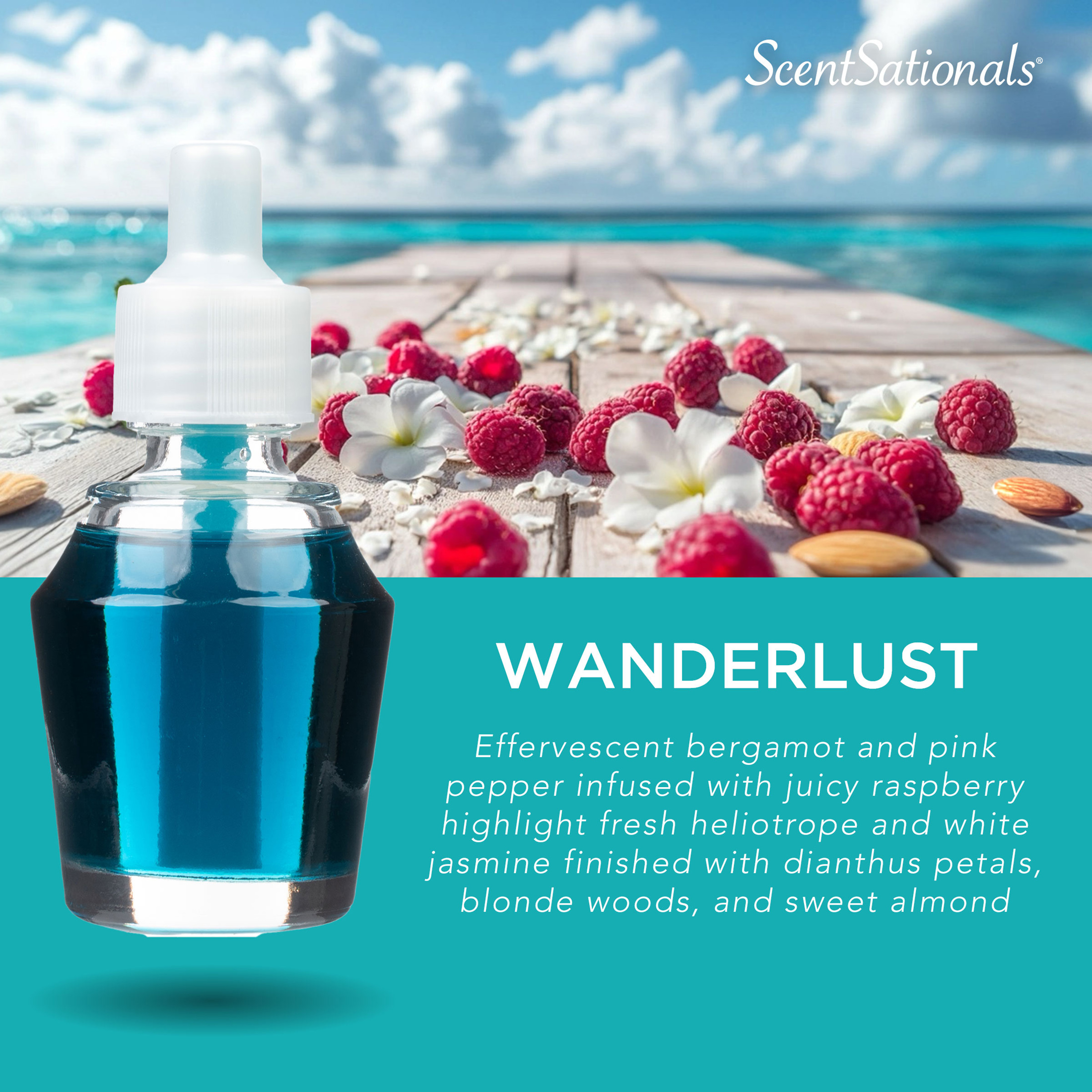 D'huile parfumée Scentsationals - Wanderlust