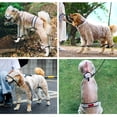 thumbnail image 3 of CNKOO Waterproof Transparent Dog Raincoat with Hood  Lightweight & Easy Carry for Small  Medium  Large Dogs, 3 of 6