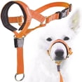 thumbnail image 4 of 2025 Pet Dog Nylon Rope Training Dog Leash Training Leash Strap Adjustable Walkabout Leash Traction Collar, 4 of 8