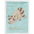 thumbnail image 1 of Carolines Treasures BB8569CHF Raccoon Welcome Flag Canvas House Size, 1 of 4