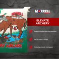 thumbnail image 3 of Morrell Youth 18 Pound Arcade Field Point Archery Bag Target for 30 Pound Bows, 3 of 6