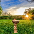thumbnail image 2 of Antique Resin Garden Birdbath Ornament Style Outdoor Yard Desktop, 2 of 7