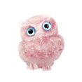 thumbnail image 1 of veasfak 3D Owl Statue Collection Miniature Owl Decor Crystal Owl Decoration for Tabletop Pink, 1 of 8