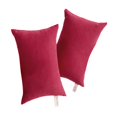 thumbnail image 2 of Harpily 2 Pack Microfiber Soft Tiny Pillows Machine Washable Travel Pillows 11 X 7 Red, 2 of 4