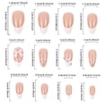 thumbnail image 3 of Dvkptbk nail patch Press- Short Nails Press- Short False Nails with Nail Glue Reusable Glue- Nails 12 Sizes, 3 of 6