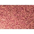 thumbnail image 1 of Ahgly Company Tapis Rectangulaire d'Intérieur Lavable en Machine Rouge Cramoisi Transitionnel, 5 Pieds x 8 Pieds, 1 of 7