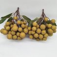 thumbnail image 3 of Coofit Artificial Fruit Realistic Fake Longan Decor Fruit Home Decoration, 3 of 8