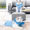 thumbnail image 4 of Cat Recovery Suit, Lace Neckline Modal Cat After Surgey Wear Tail Adjustable Light Blue  For Postoperative Recovery For Pet S,M,L, 4 of 8