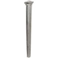 thumbnail image 2 of Acorn Manufacturing CCR8 8D Common Rosehead Nail, 1 lbs, 2 of 3