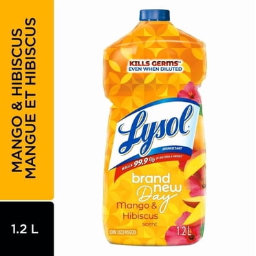 Lysol® Nettoyant Multi-Surfaces à Verser - Brand New DayTM Mangue et Hibiscus, 1,2 L