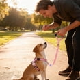 thumbnail image 3 of Retractable Pet Car Leash with Chest Harness and Headrest Tether for Safe Vehicle Travel, 3 of 4