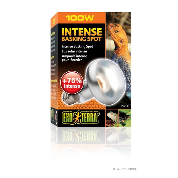 Ampoule Exo Terra Intense pour terrariums à reptiles, S25, 100 W
