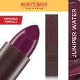 thumbnail image 1 of Burt’s Bees 100% Natural Moisturizing Lipstick -, 1 of 6