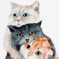 thumbnail image 1 of Serviettes pour Chats Taille Déjeuner 20 Pack Better Together, 1 of 1