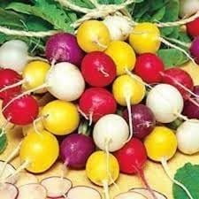 HJADGG 1000+ Radish Seed Collection 8 Varieties Sparkler White Tip China Rose Cherry Belle Scarlet Heirloom Blend Easter Egg Blend French Breakfast Purple Plum 1 g Each Approx. 100-150 Seeds