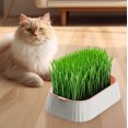 thumbnail image 4 of Pink Double Layer Grass Grower Tray Soilless Planting Kit Wheatgrass Nursery Box Pets Home Gardening Planter In Pink Color, 4 of 7