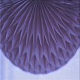 thumbnail image 1 of Ahgly Company Tapis d'Intérieur Lavable en Machine Carré Transitionnel Violet, 5 Pieds Carré, 1 of 7