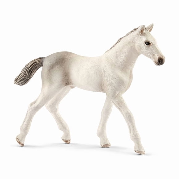 TOY HOLSTEINER FOAL(Pack of 5)