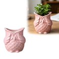 thumbnail image 2 of MKHSQHDG Today's Deals Owl Shaped Ceramic Succulent Planter Garden Container, 2 of 5