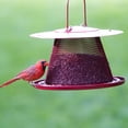 thumbnail image 3 of Perky-Pet Red Cardinal Wild Bird Feeder – 2.5 lb capacity, 3 of 8
