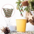 thumbnail image 2 of Kitchen Gadgets Red and Green Striped StrawsDisposable Paper Straws, 2 of 7