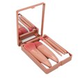 thumbnail image 3 of Easy Taken Travel Makeup Brush Set, Complete Function Cosmetic Brushes Kit Synthetic  Brushes Blending Face Powder Concealer Make Up Brushes 5pcs With Mirror, 3 of 8