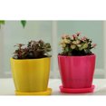 thumbnail image 4 of serony Durability Classic - Long-lasting And Elegant Home Decor Accessories Prevent Red XS,1 1Set, 4 of 6