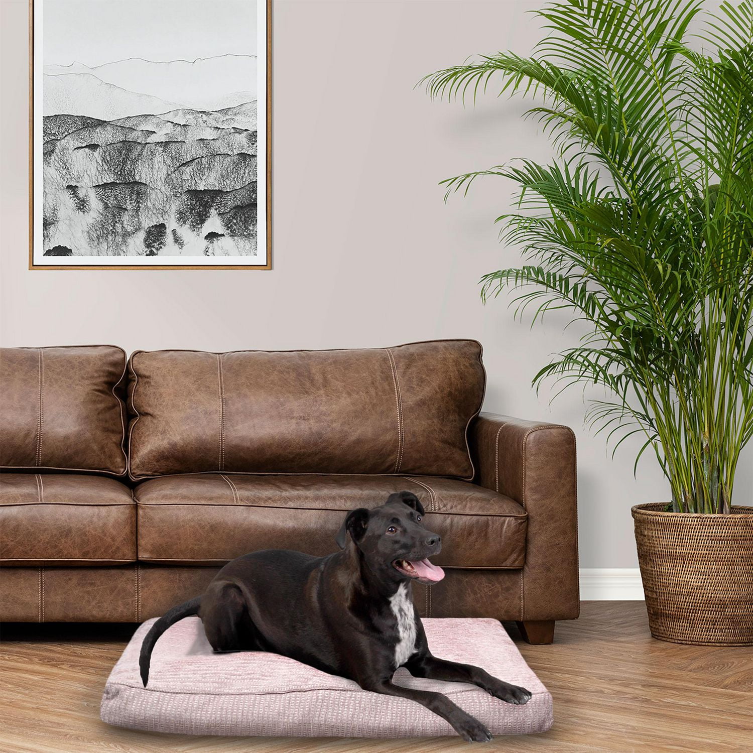 vibrant life 36.x30 Po Grandeur Moyenne, Lit Coussin pour Chien