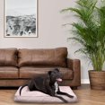 thumbnail image 3 of vibrant life 36.x30in medium size, pillow dog bed, 3 of 4